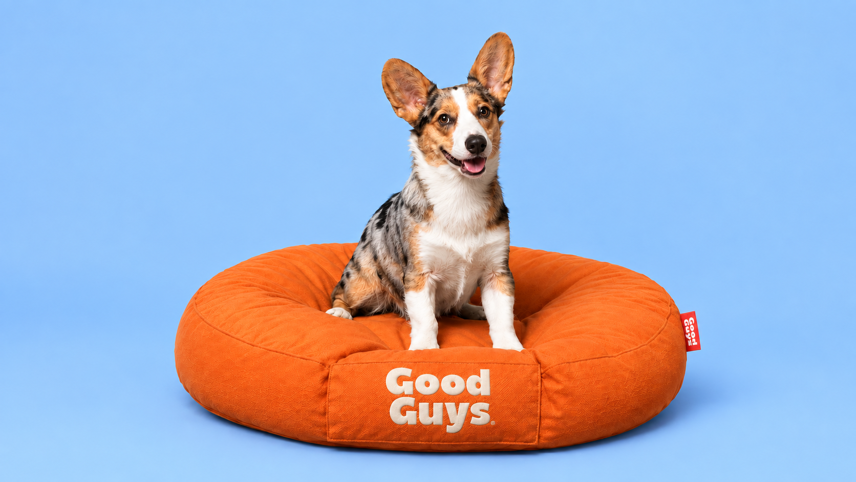 Corgi sentado en una cama naranja Good Guys